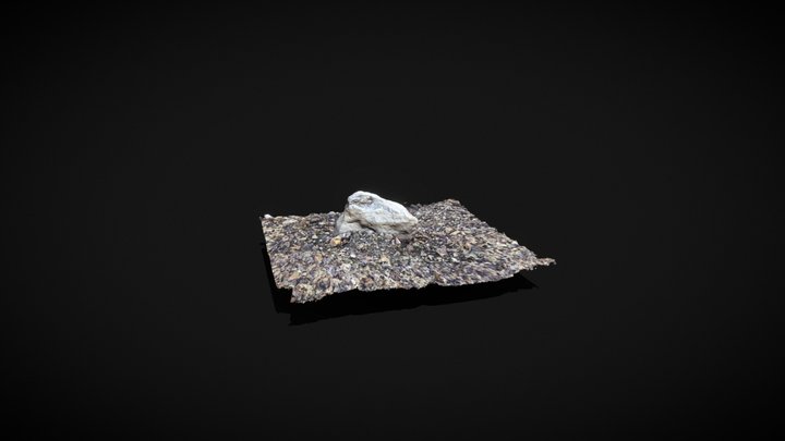 Rock in Owyhee Canyon, Leslie Gulch 3D Model