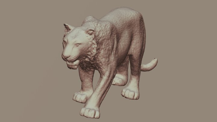 Tigre 3D Model