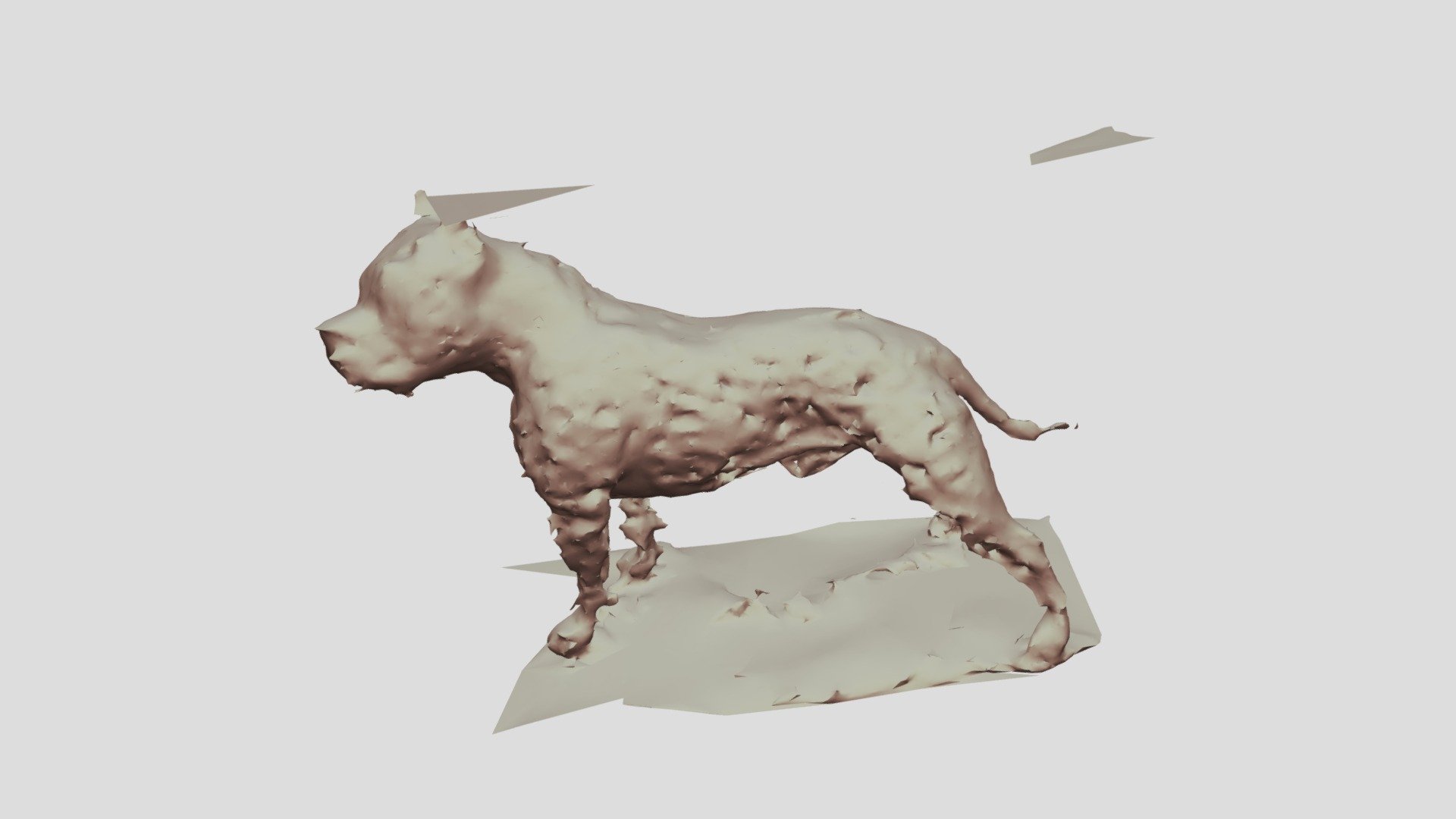 pitbull1
