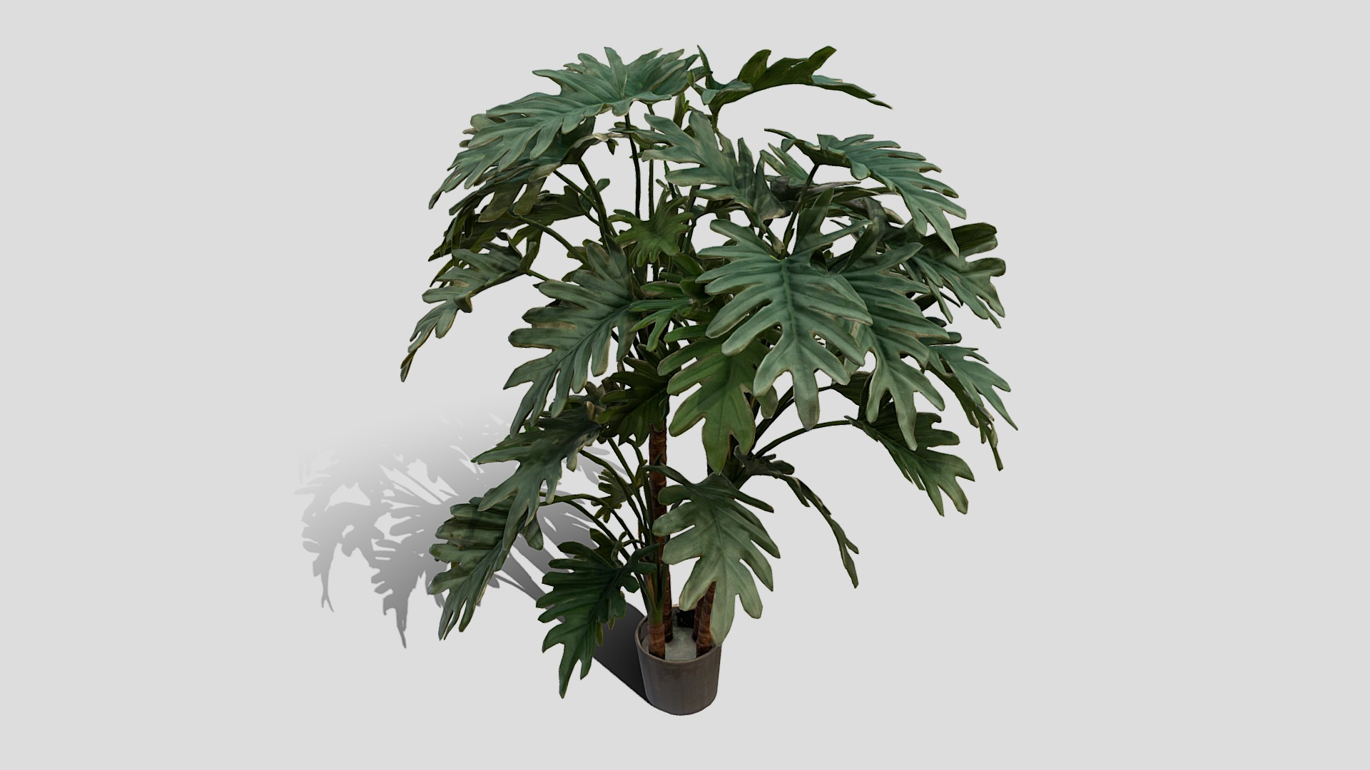 3D model 000042_152509 - This is a 3D model of the 000042_152509. The 3D model is about a potted plant with a plant.