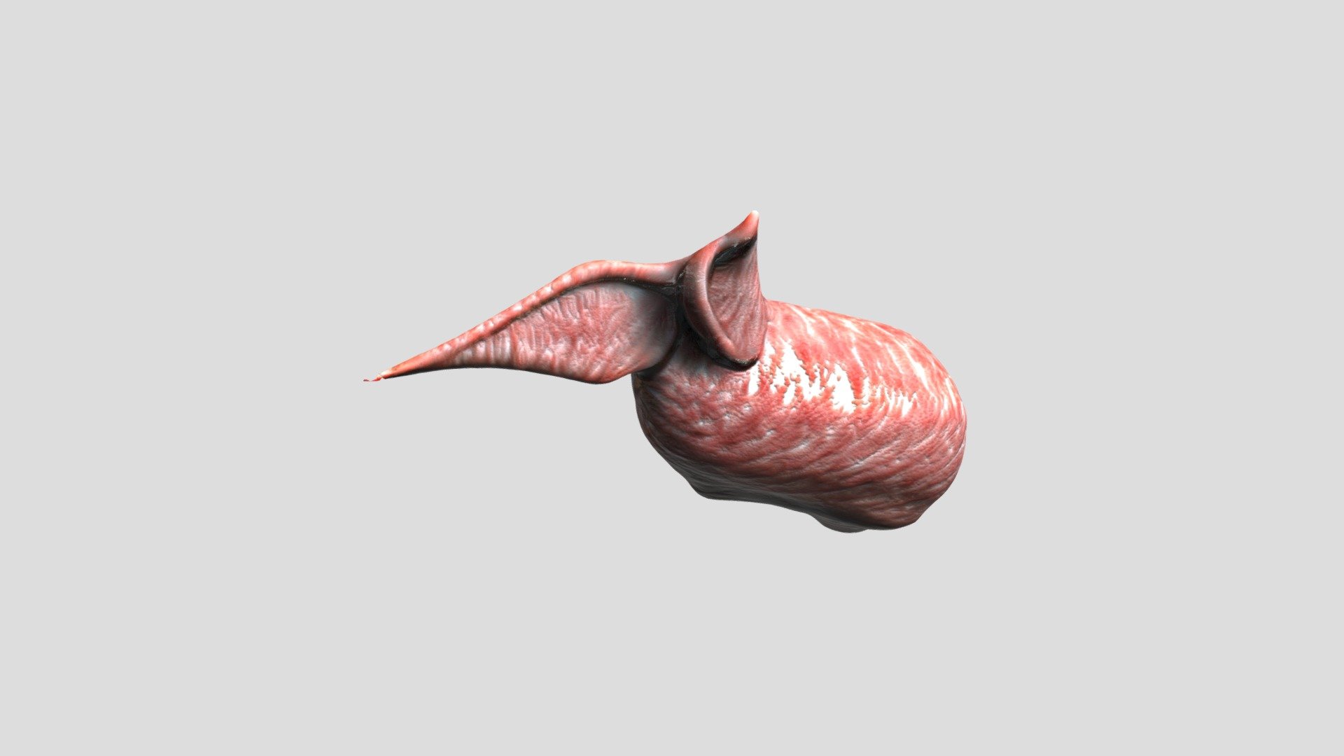 Alien Organ 01 No Rig - Download Free 3D model by tomascolt12 [0c93689 ...