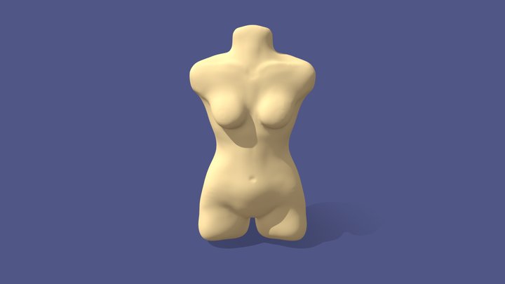 Woman Body - Training 3D Model