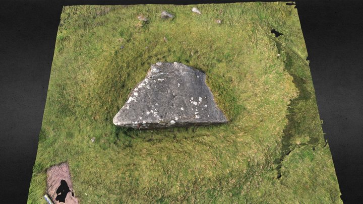 Clachmhor Cup Marked Stone with Ditch & Bank 3D Model