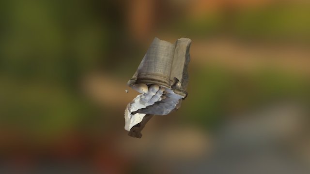 Constantine Foot 3D Model