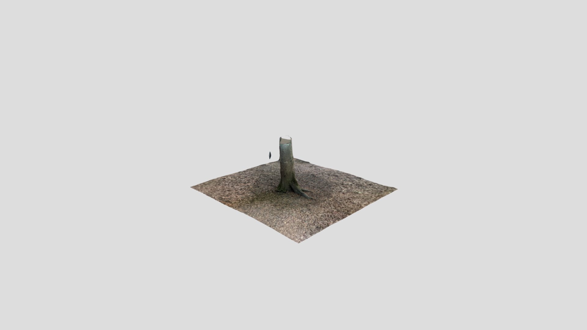 Stump
