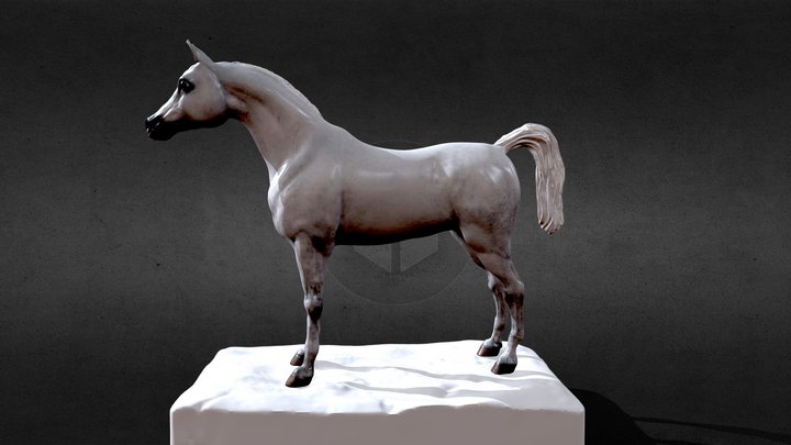 arabian_horse 3D Model