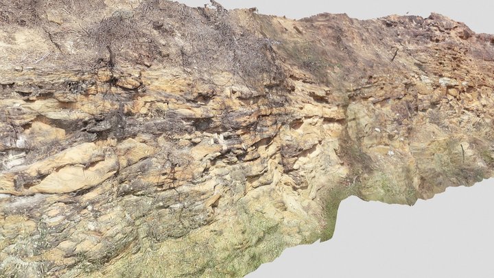 PC02 - Fm Tianguá Fluvial Sandstone 3D Model
