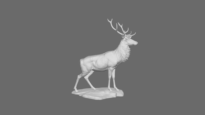 Deer 3D Model