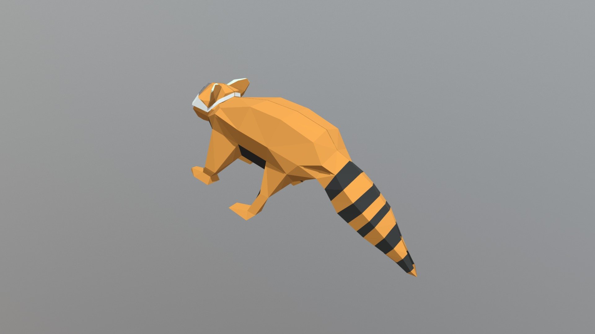 Racoon