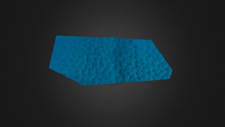 Honeycomb-like formation 3D Model