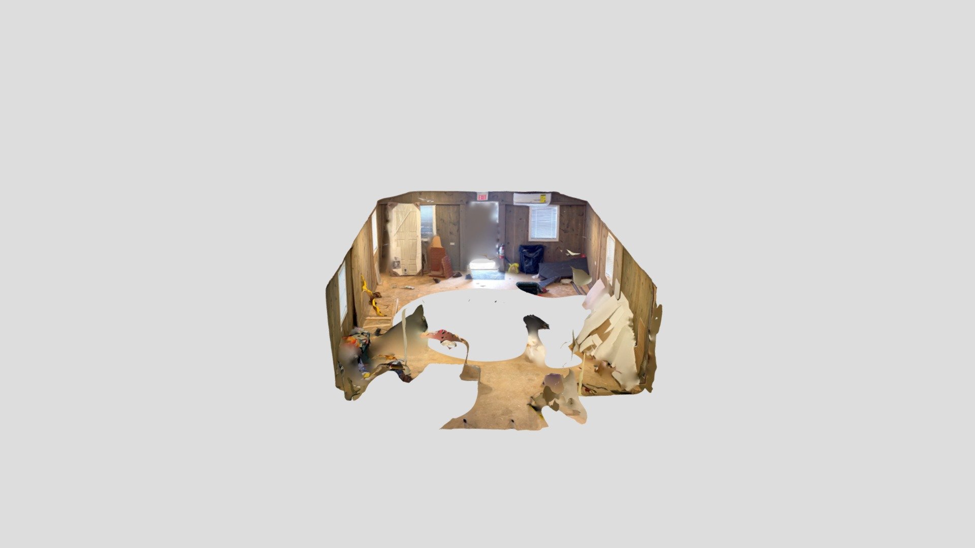 Polycam capture