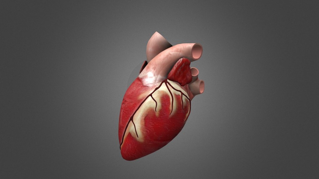 Coeur 3D - 3D model by TroisPrimeFR [0ca9203] - Sketchfab