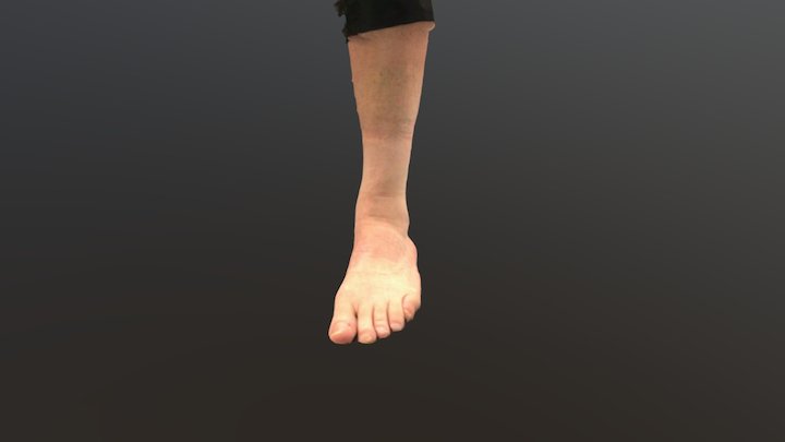 Feet 3D Model