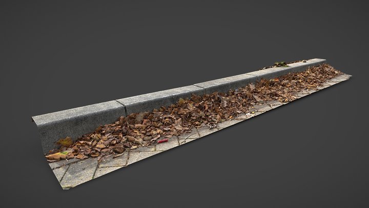 Curbs with Leaves 3D Scan 3D Model