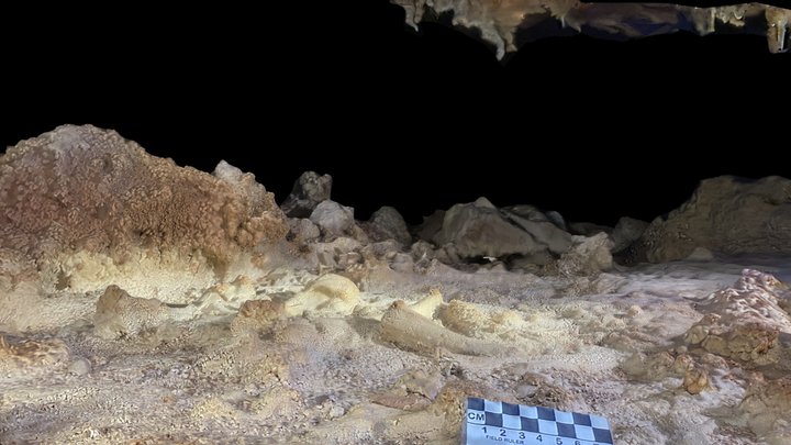 Ossements sous calcite 3D Model