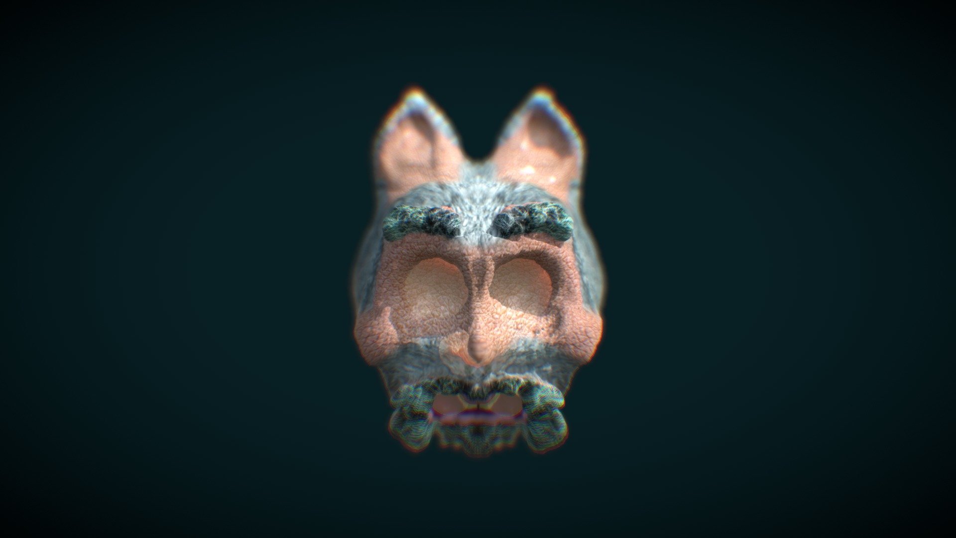 Rabbito