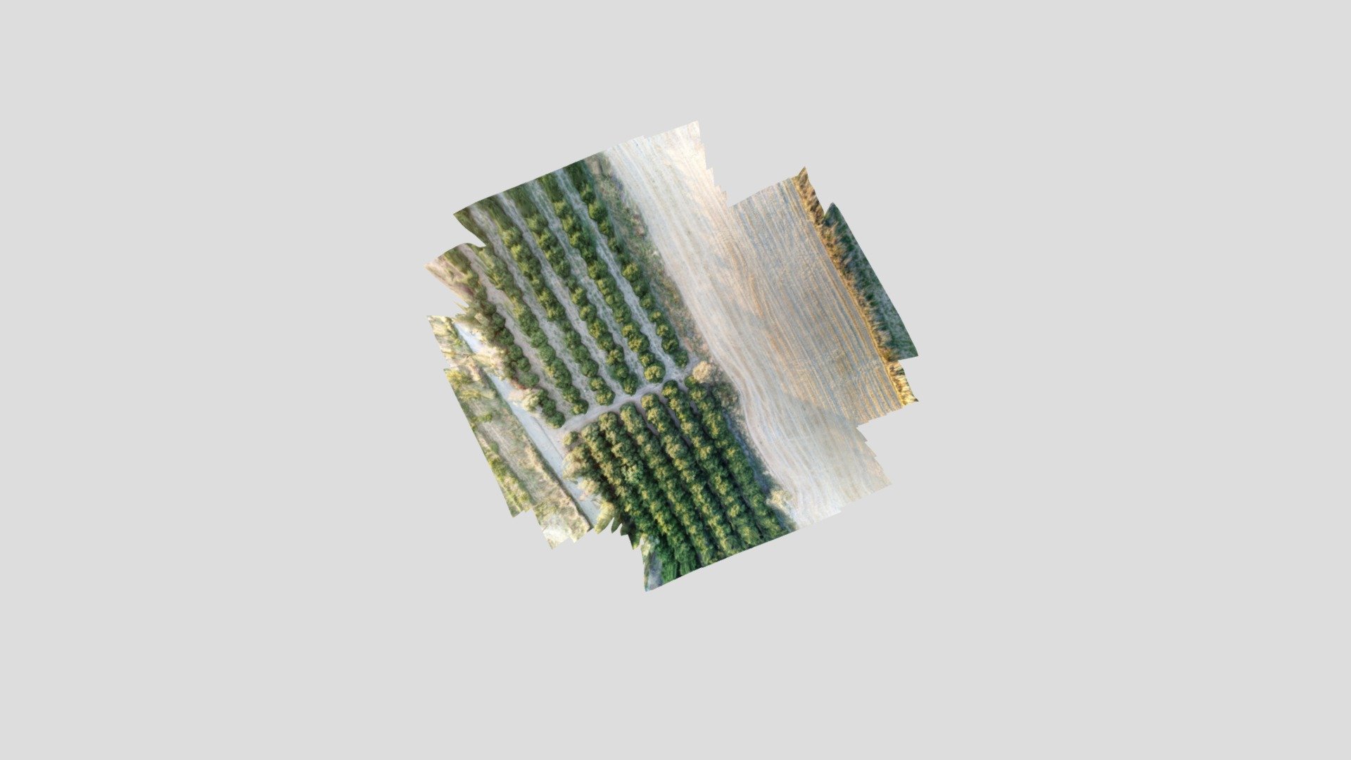 Agriculture DD