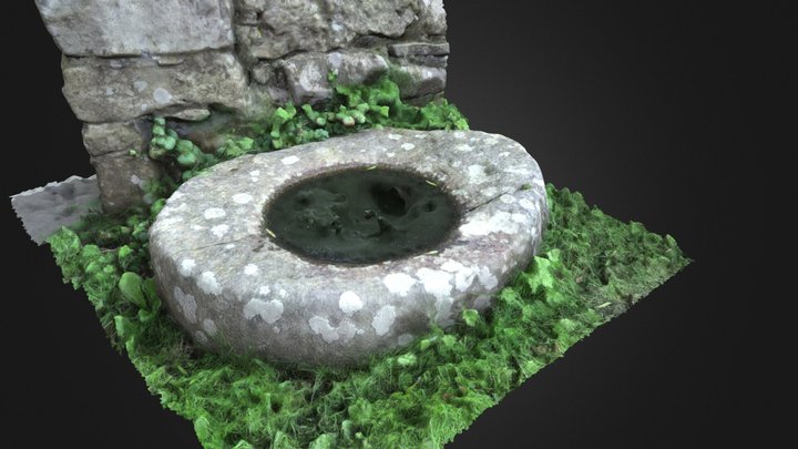 Lemanaghan Bullaun Stone (OF015-004013-) 3D Model