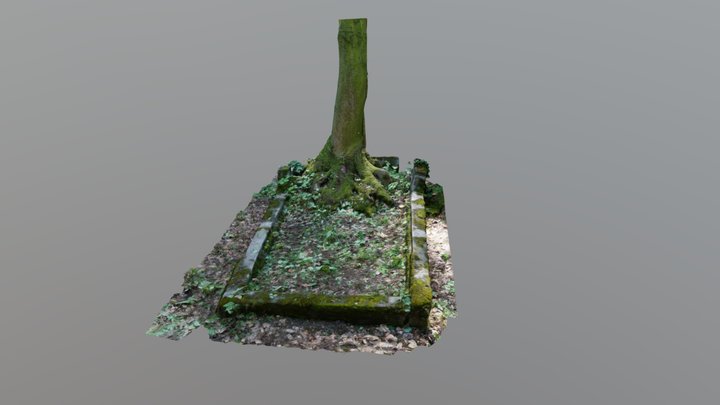Tombstone, old cementary 3D Model