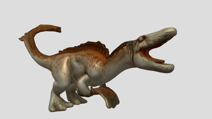 tanycolagreus