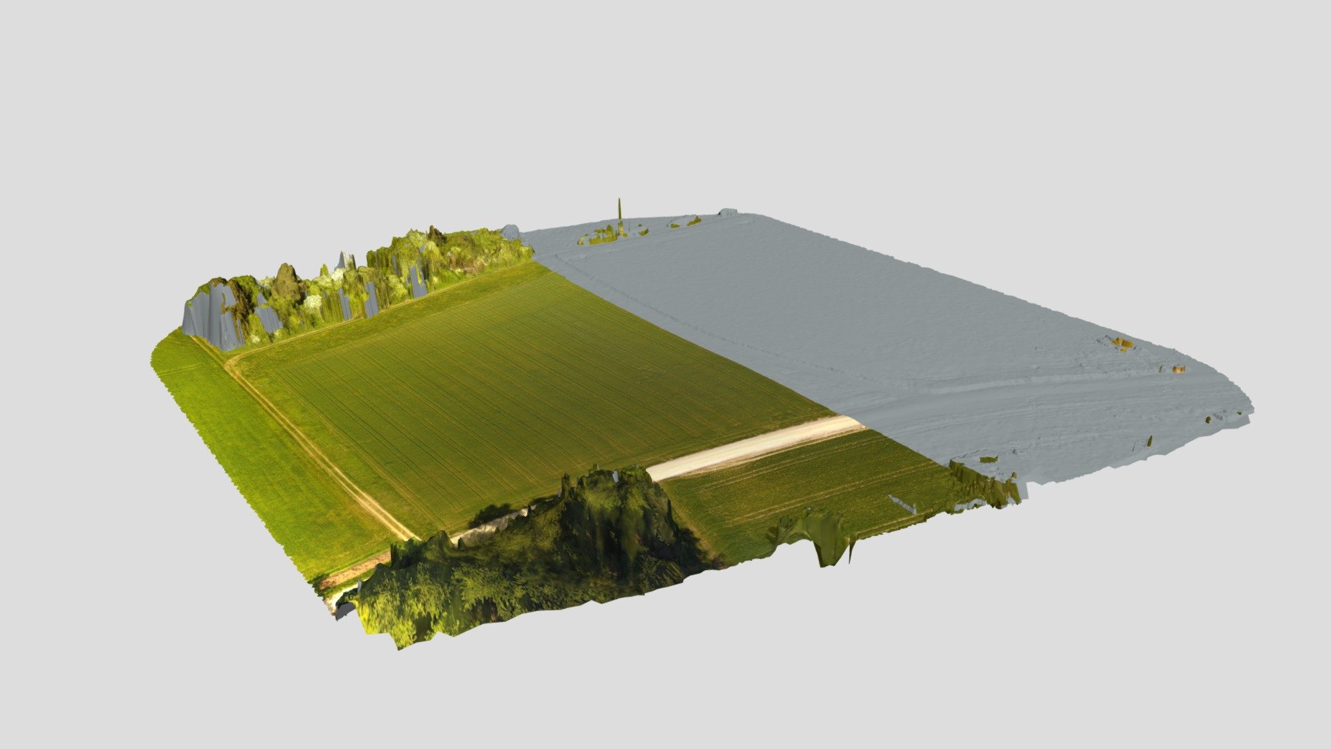 Field (3D Drone Scan)