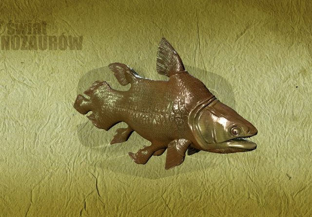 Mawsonia 3D Model