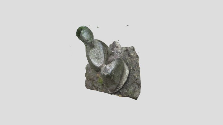 Malla 1 3D Model