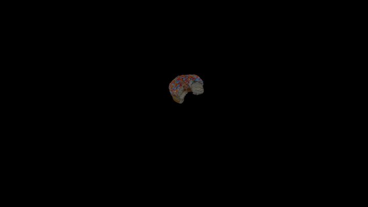 Donut with Sprinkles 3D Model