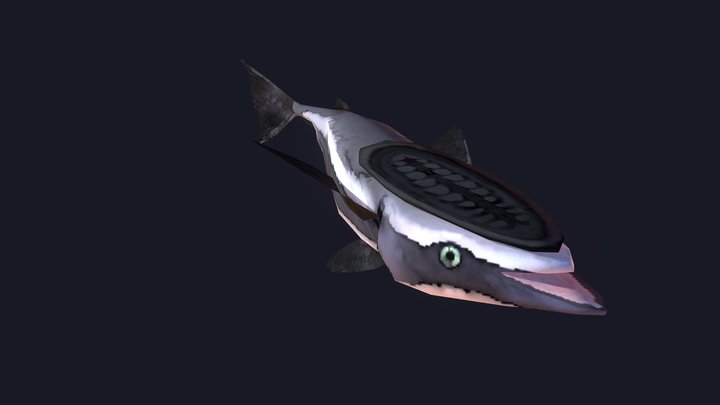 Remora 3D Model
