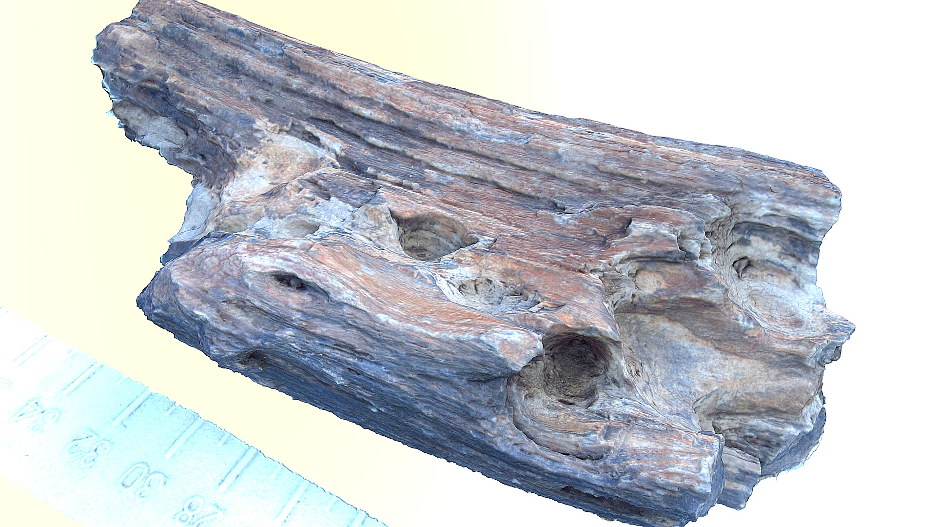 3D model Weathered Petrified Wood - This is a 3D model of the Weathered Petrified Wood. The 3D model is about a piece of wood with a carving.