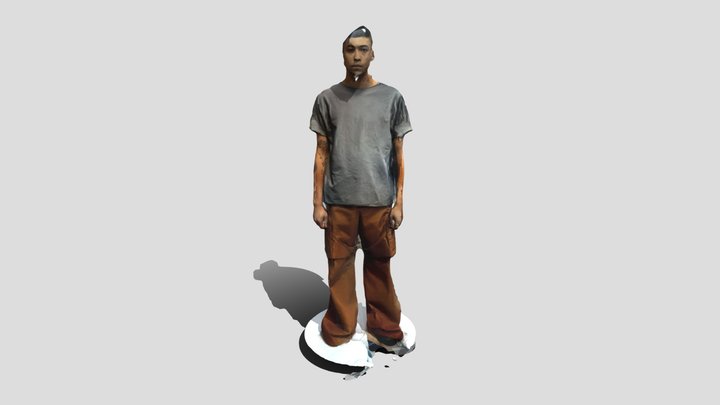 VII 3D Model