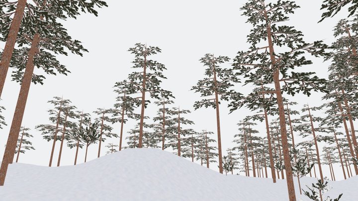 Winter Pine  Forest Psx Graphics 3D Model