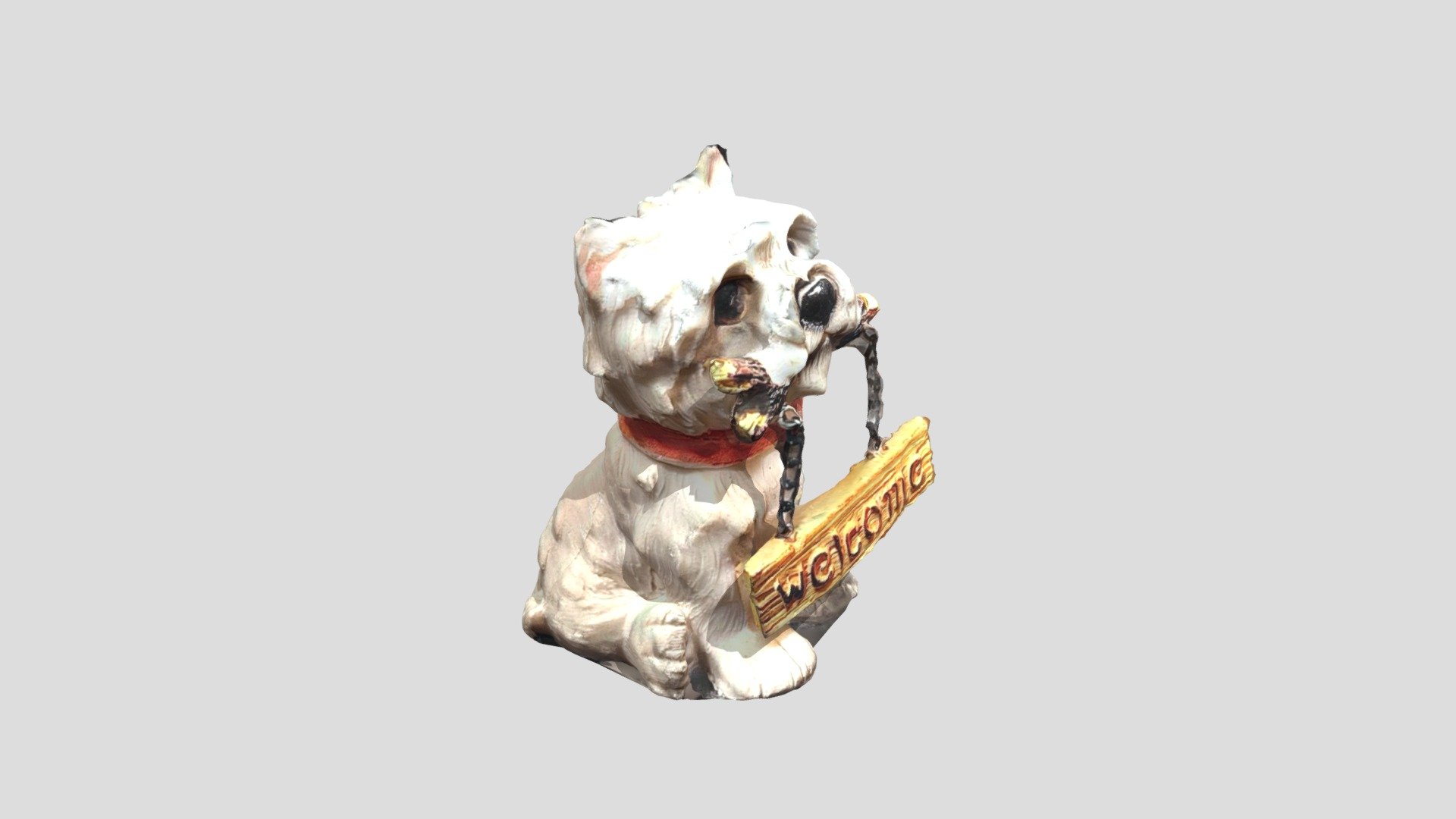 dog