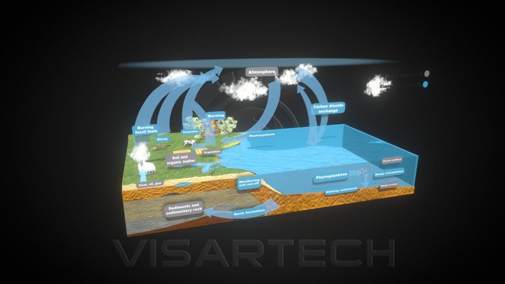 Carbon Cycle 3D Model