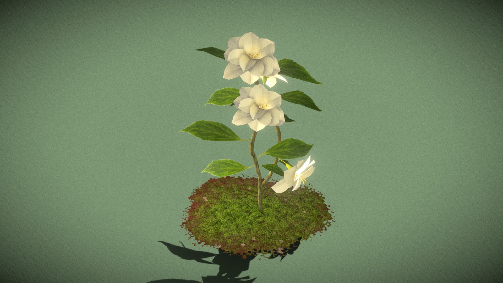 3D model Camelia Sinensis - This is a 3D model of the Camelia Sinensis. The 3D model is about a plant with white flowers.