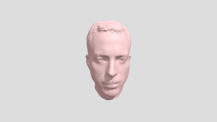 Retopology in Face 3D Model