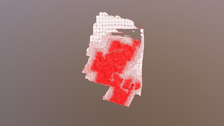 Odm Textured Model 3D Model