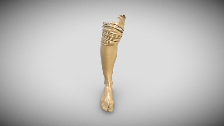 perna 3D Model