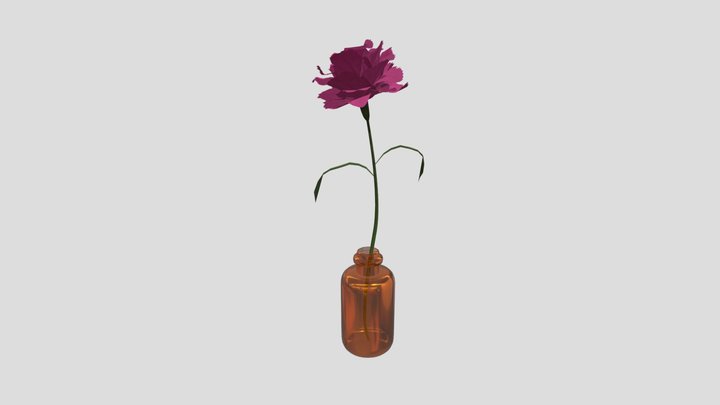Single flower / Carnation Pink 3D Model