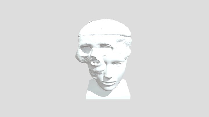 Skullandhead 3D Model