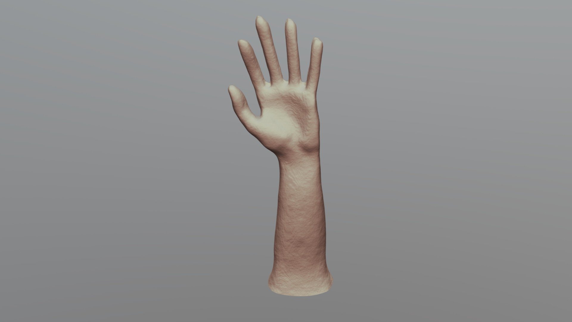 Arm 3D scan 3D model by Biocuriousgrrl (stilvie) [0ceb68a] Sketchfab