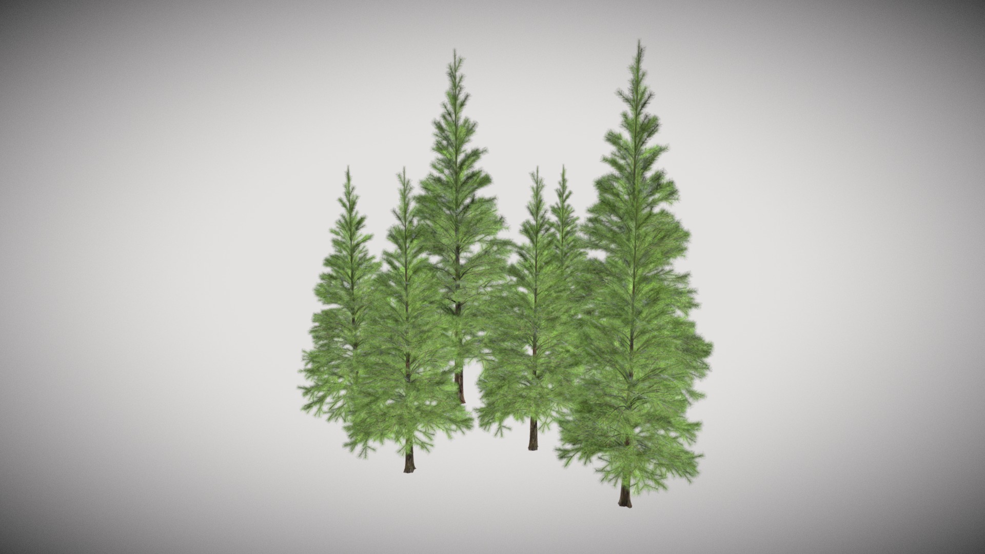 3D model Coniferous Group - This is a 3D model of the Coniferous Group. The 3D model is about a group of trees.