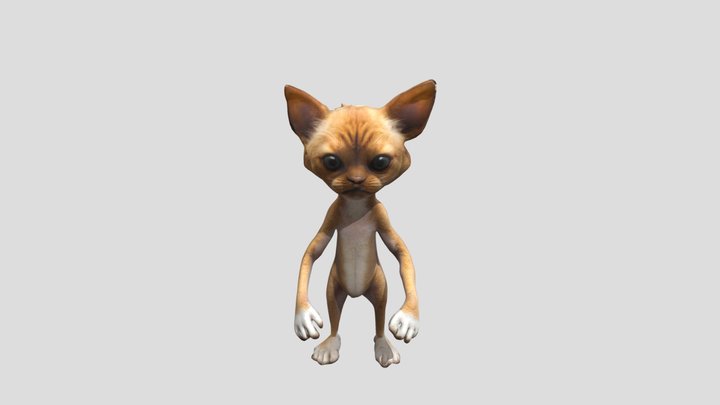 Douglas the Cat 3D Model