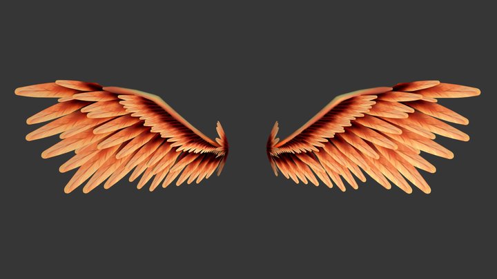 Phoenix Wings 3D Model