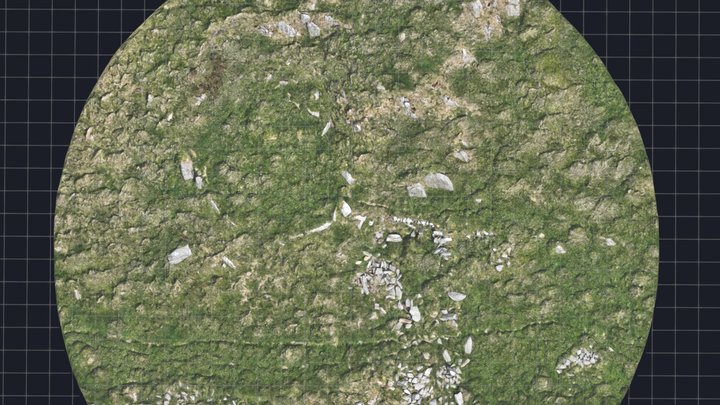 Roundhouse Platform, Pen-y-Gaer Hillfort 3D Model