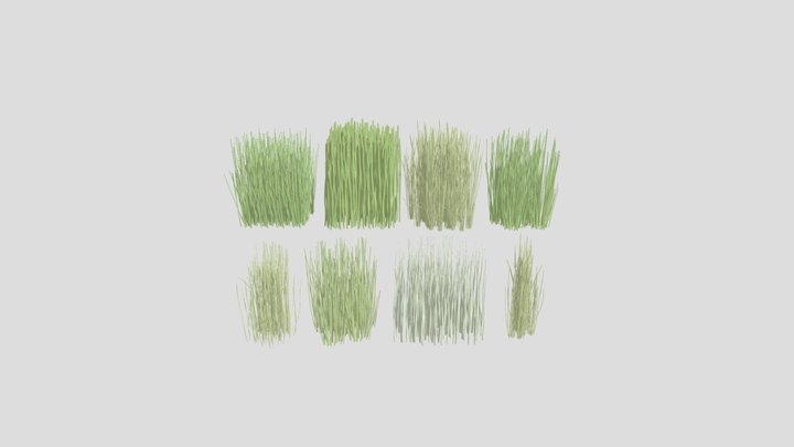 Equisetum Hyemale 3D Model