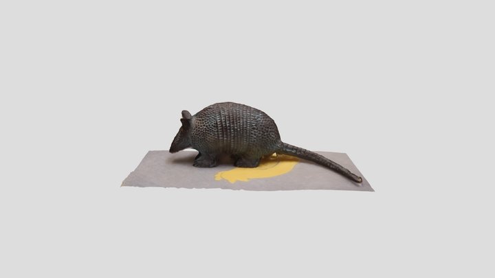Armadillo Paper Weight