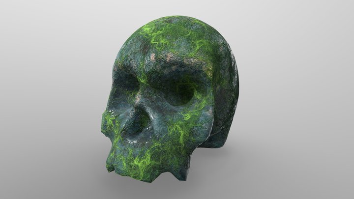 Skull 3D Model
