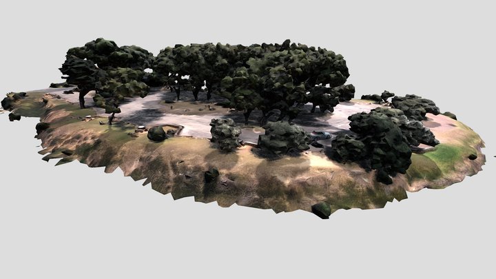 Tree Cluster Island 3D Model