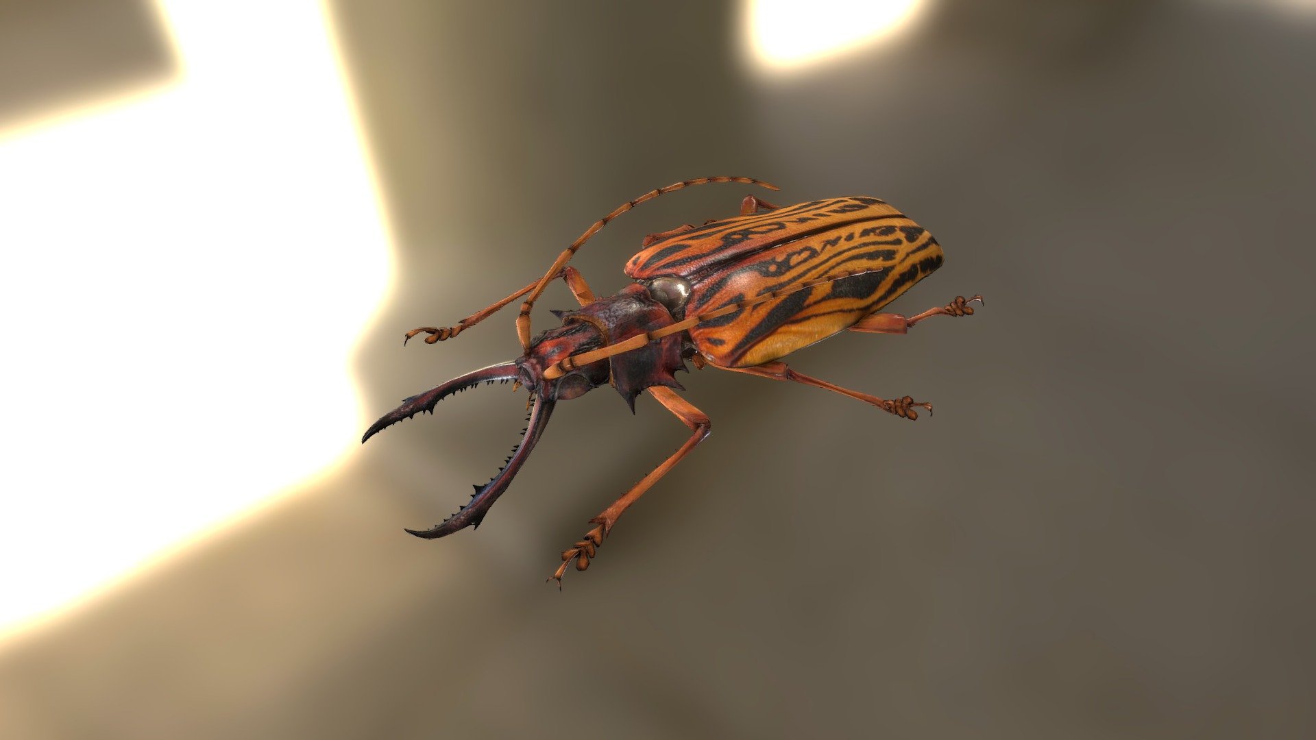 標本 Peru Macrodontia cervicornis 106mm s-l1200.jpg